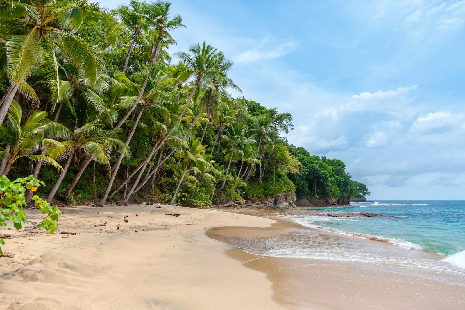 Panama Vacation and Boat Trip Guide