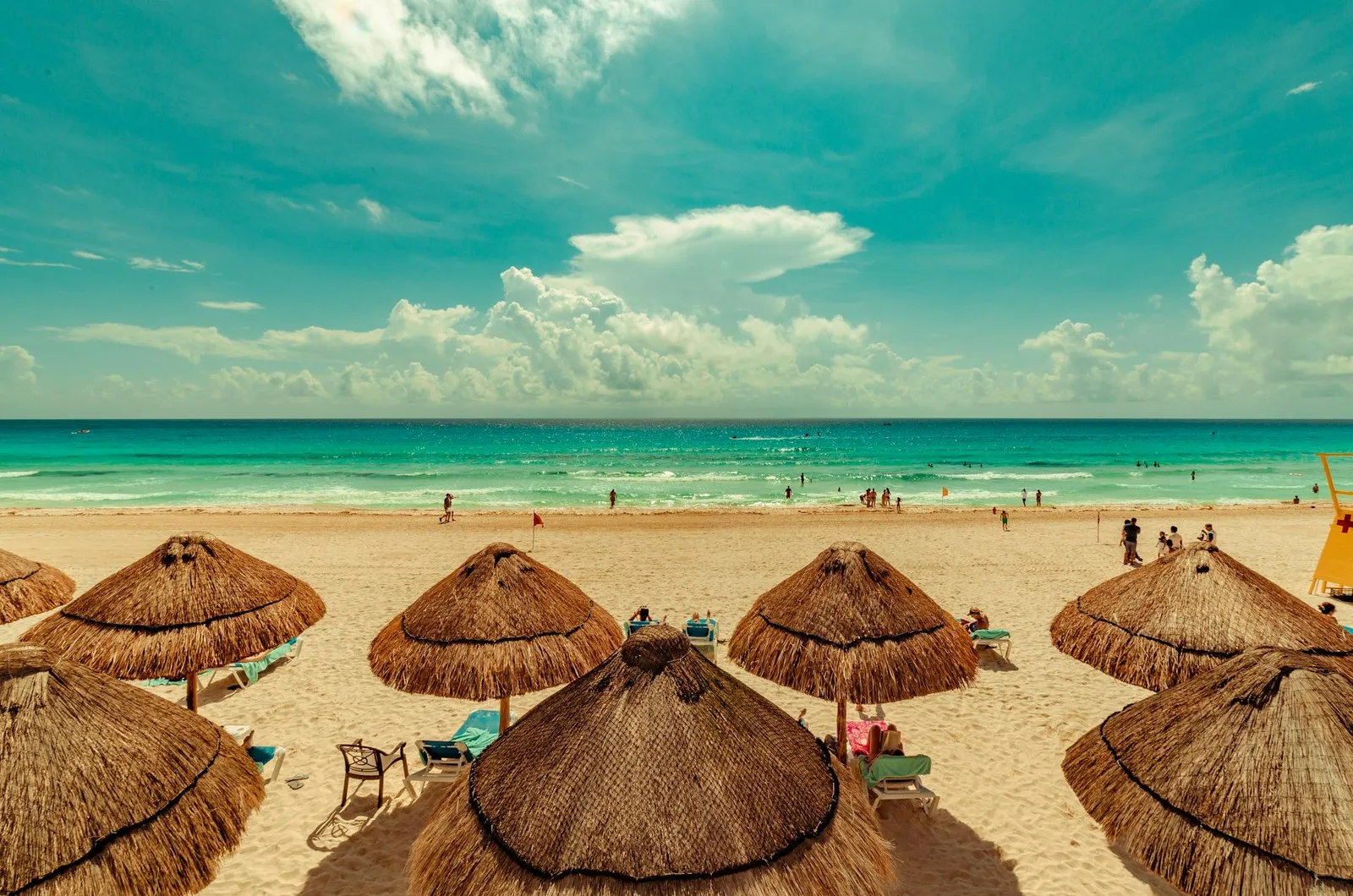 Mexico Boat Tour Guide
