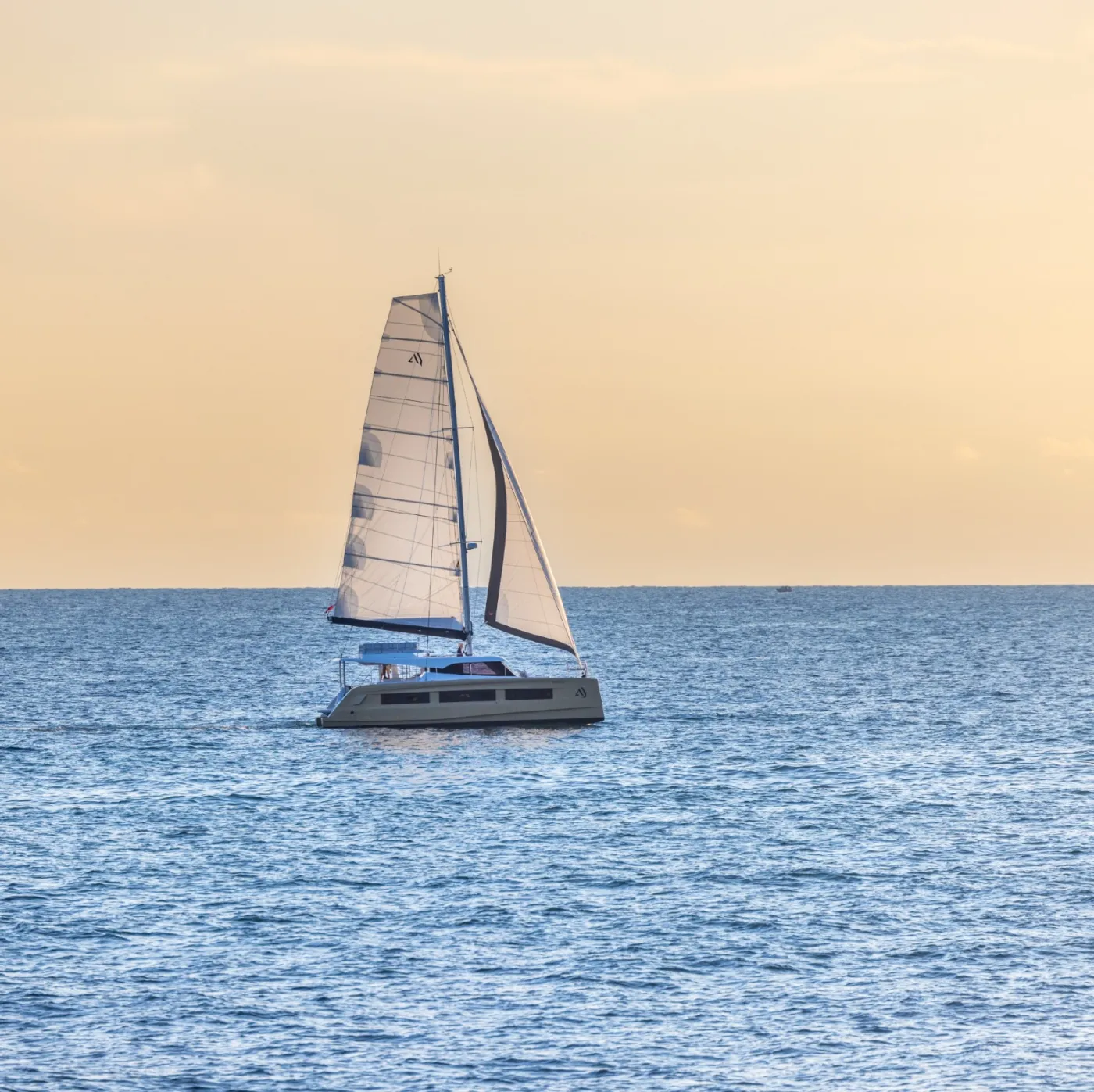 Carlota - Catamaran in Dénia
