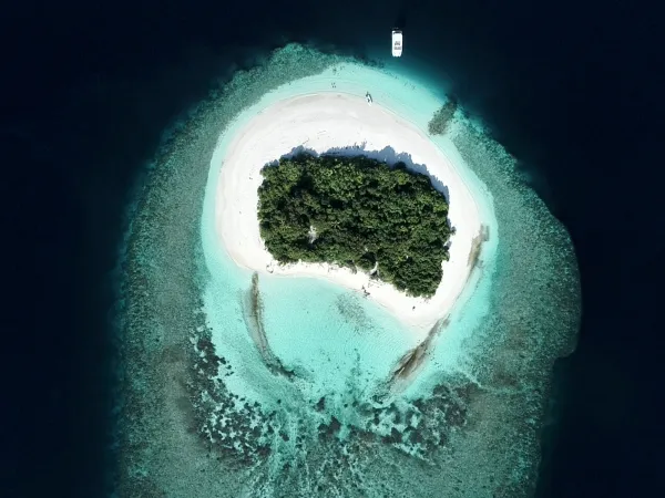 Over Reef