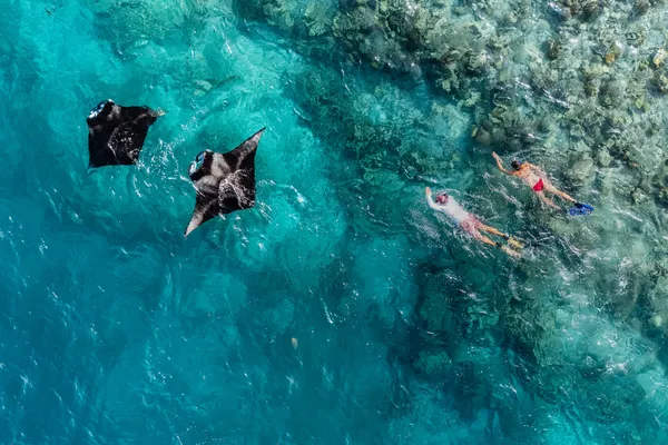 Over Reef