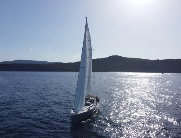 Lupo Di Mare