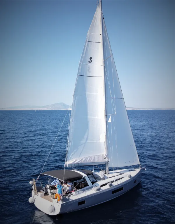 Lupo Di Mare