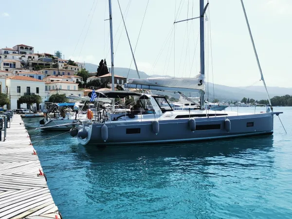 Lupo Di Mare