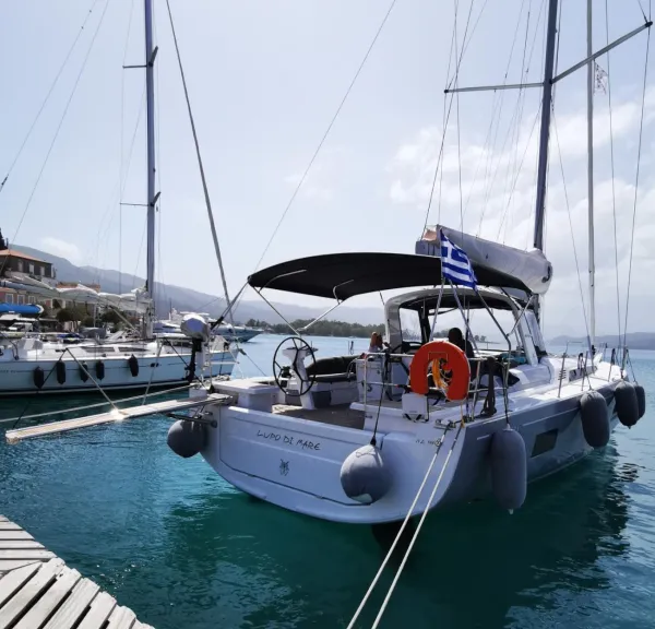 Lupo Di Mare