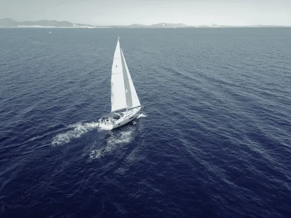 Lupo Di Mare