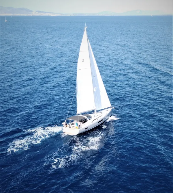 Lupo Di Mare