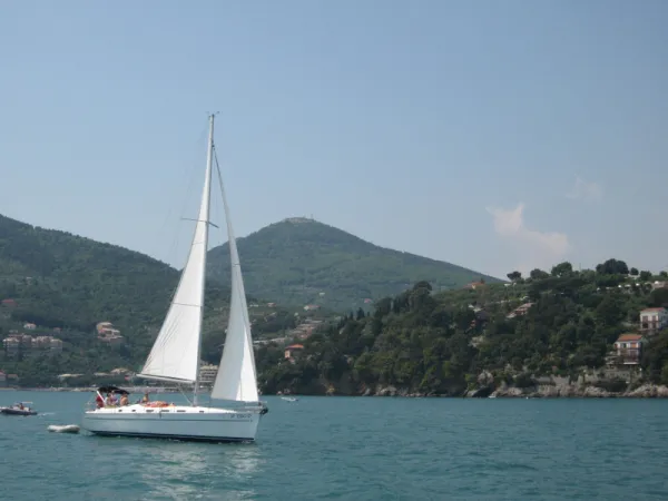 Tecno Sail