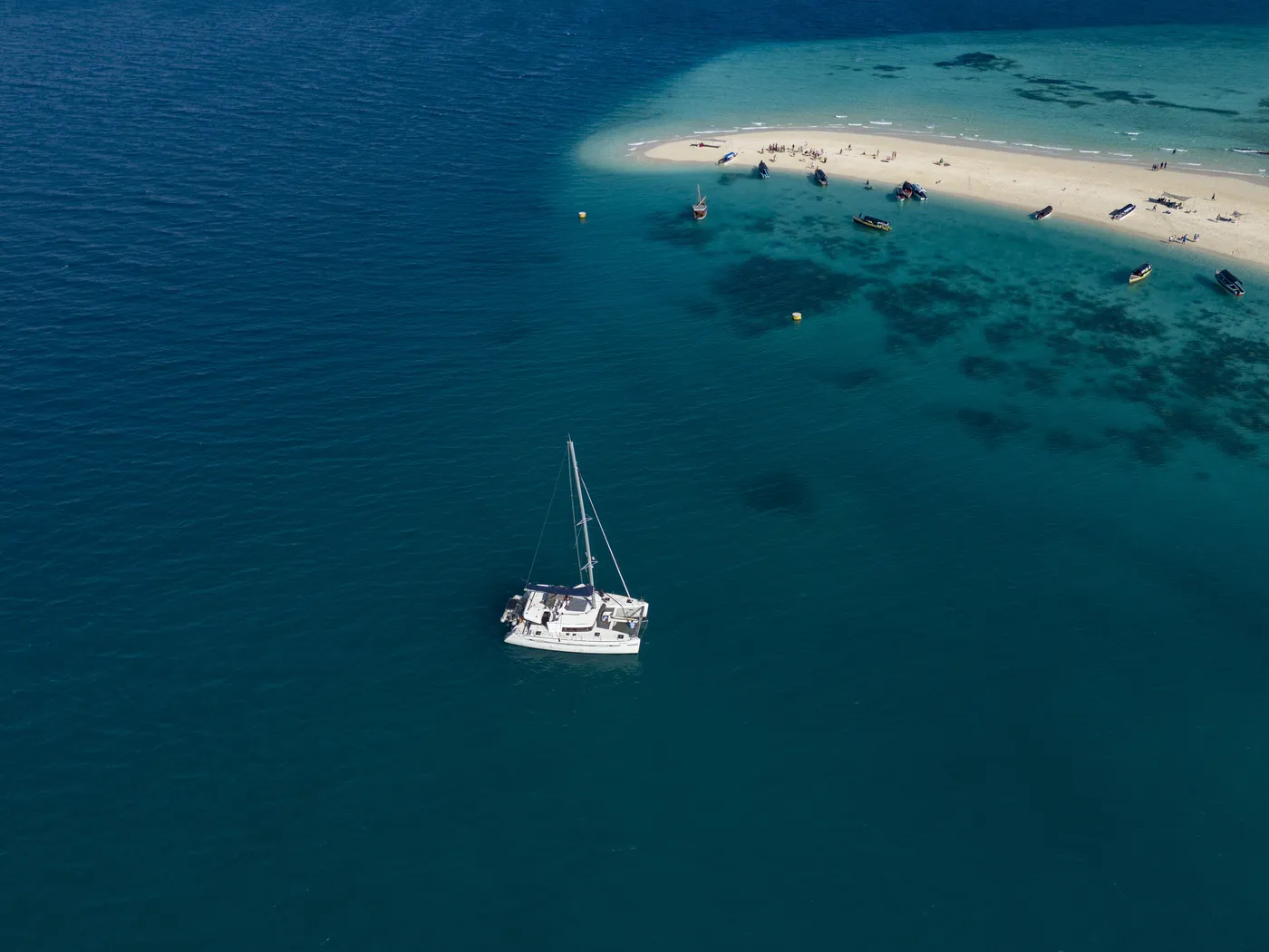 Butterfly - Catamaran in Zanzibar