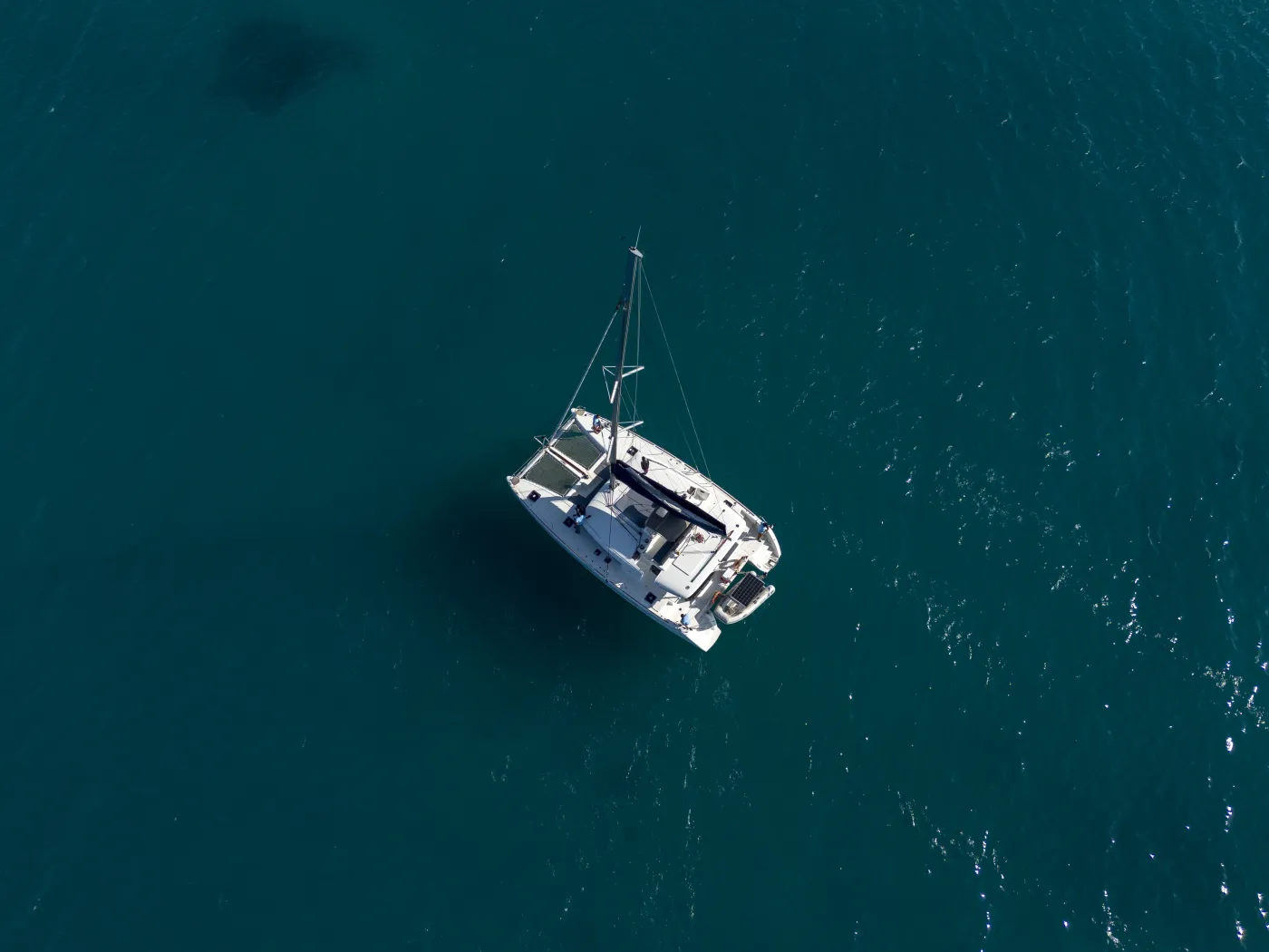 Butterfly - Catamaran in Zanzibar