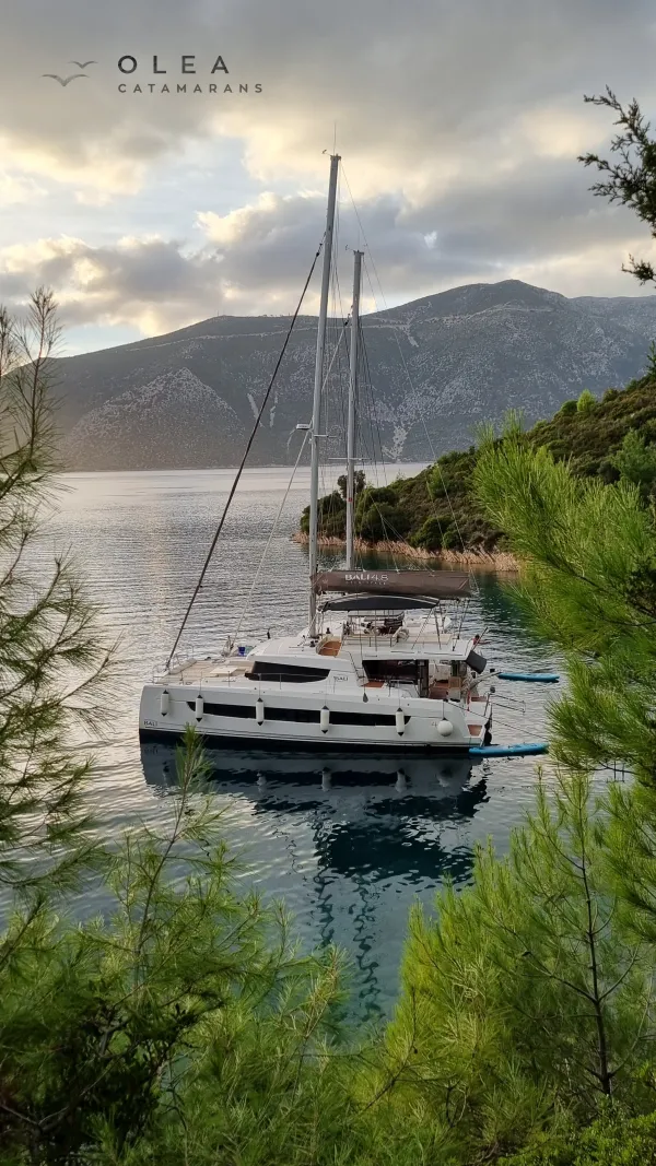 Olea II