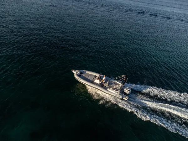 Marlin