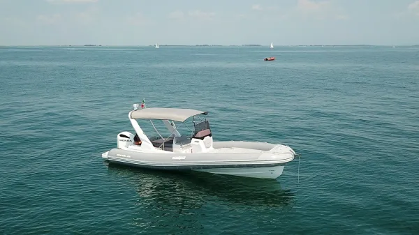 Salpa