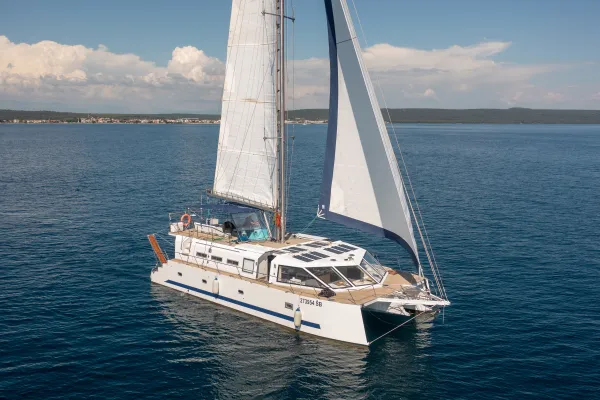 UPWIND 50