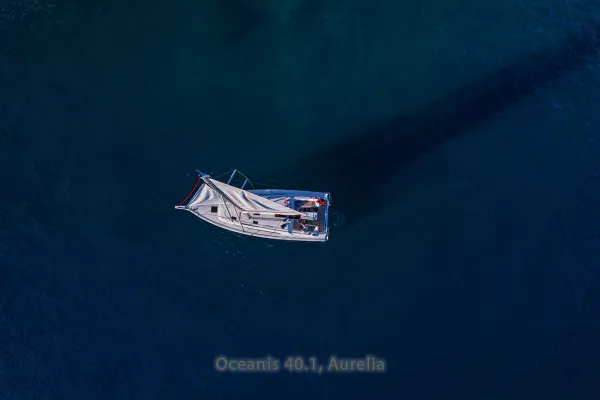 Aurelia