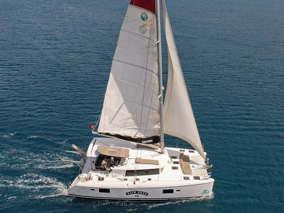 Rain Dogs - Catamaran in Adaköy