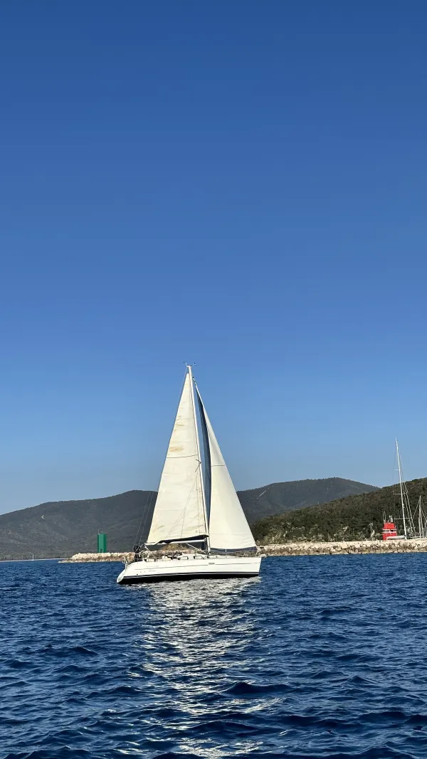 Cassiopea