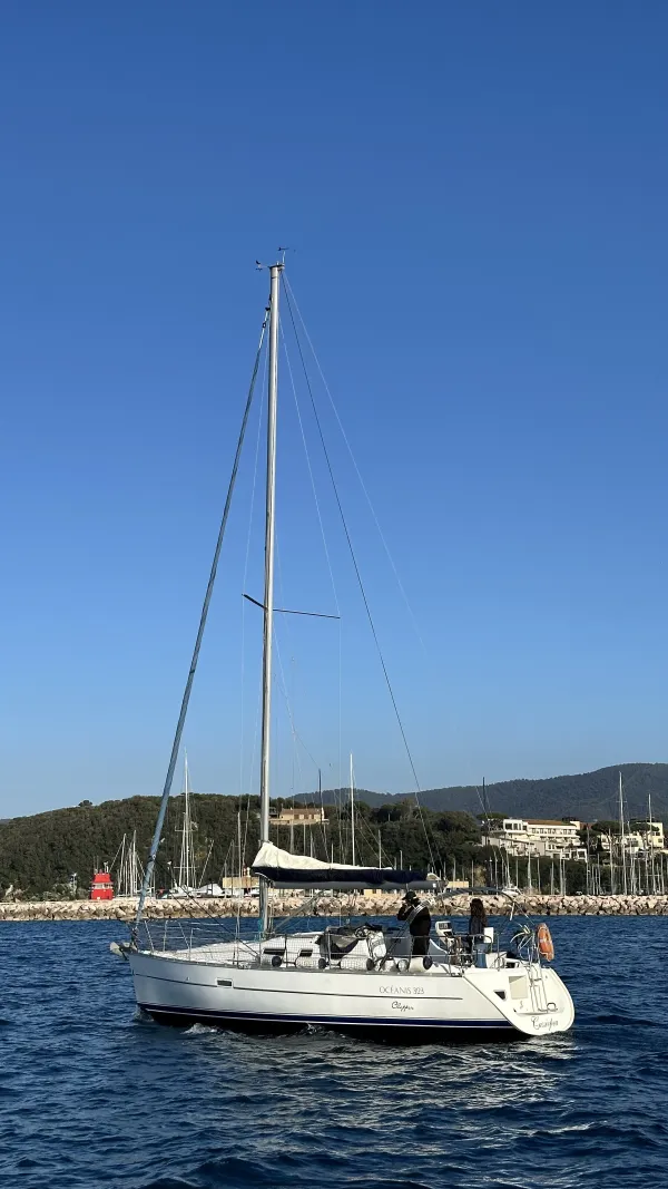 Cassiopea