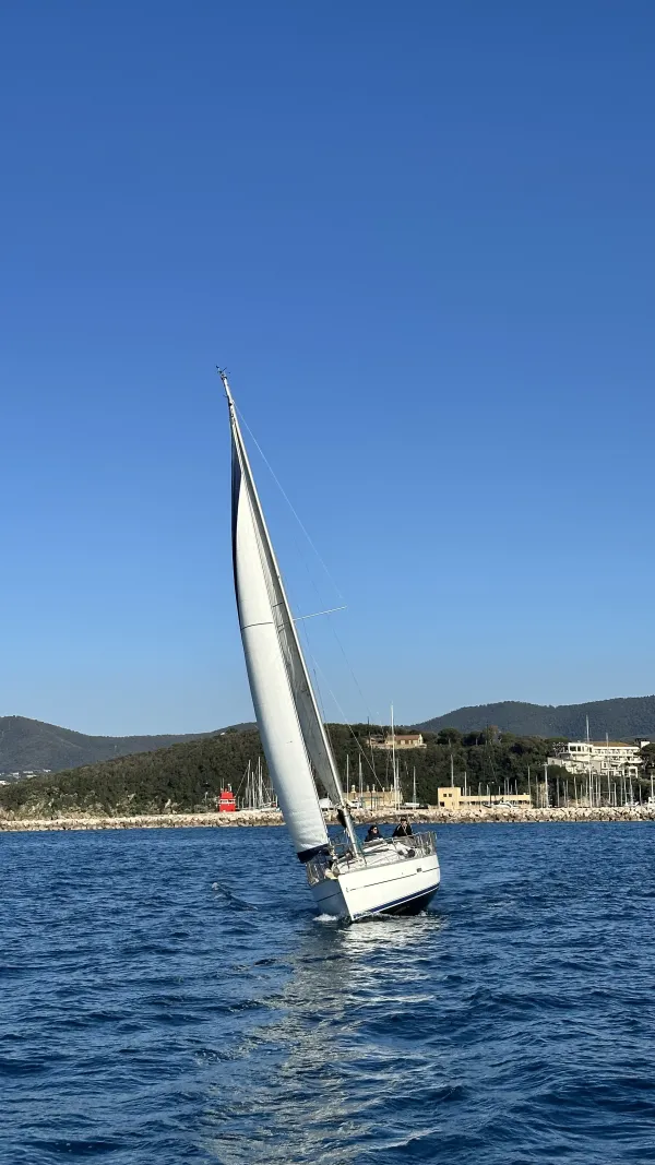 Cassiopea