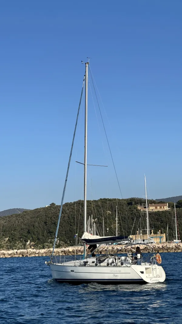 Cassiopea