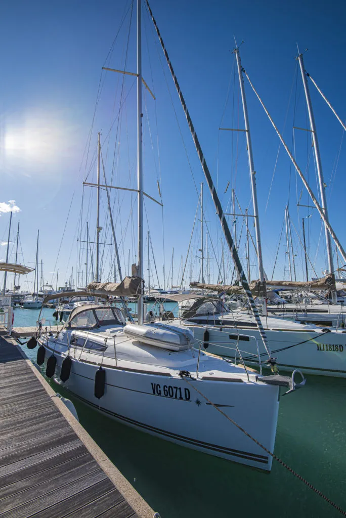 Ribellina - Yelkenli içinde Provincia di Livorno