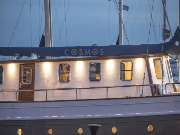 Cosmos