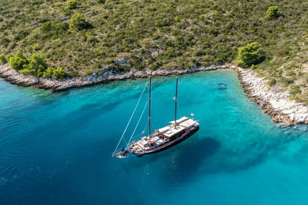 Pacha