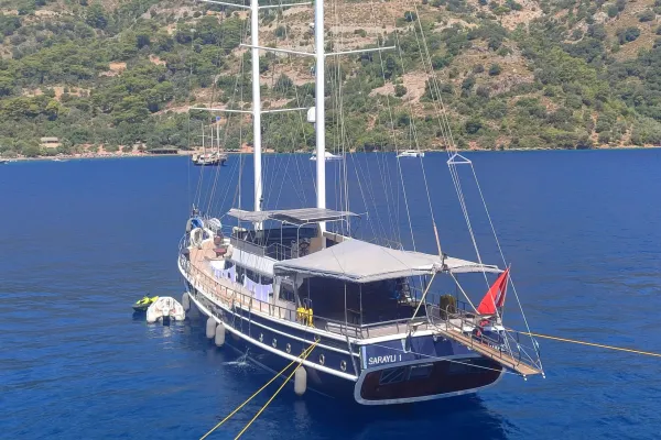 SARAYLI 1