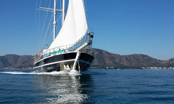 SARAYLI 1