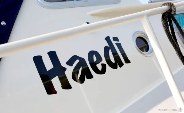Haedi