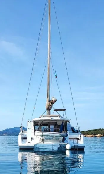 Ziphius