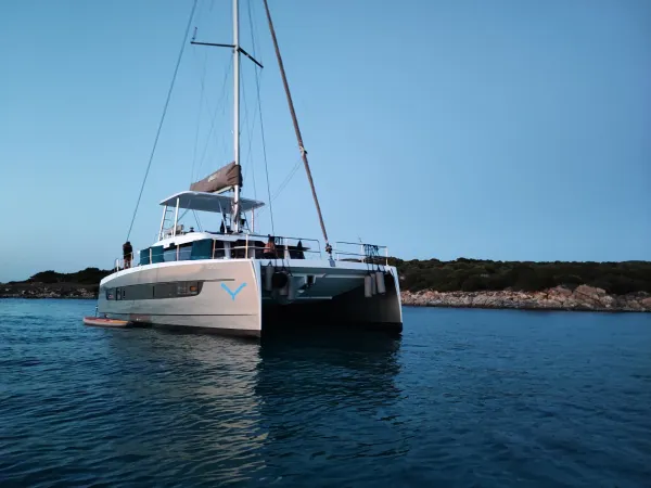 Delphinus