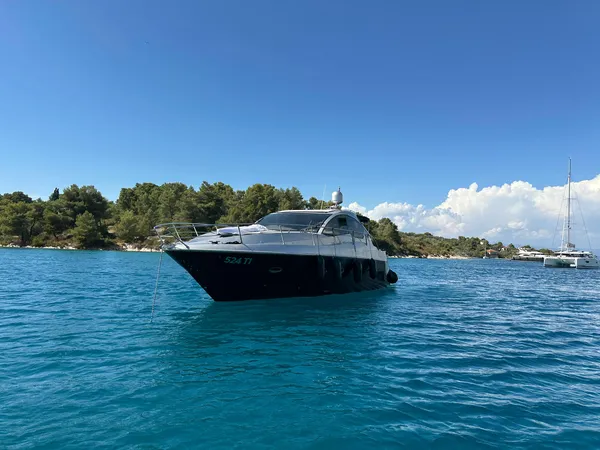 Marta VI