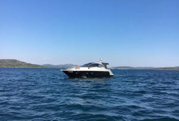 Marta VI