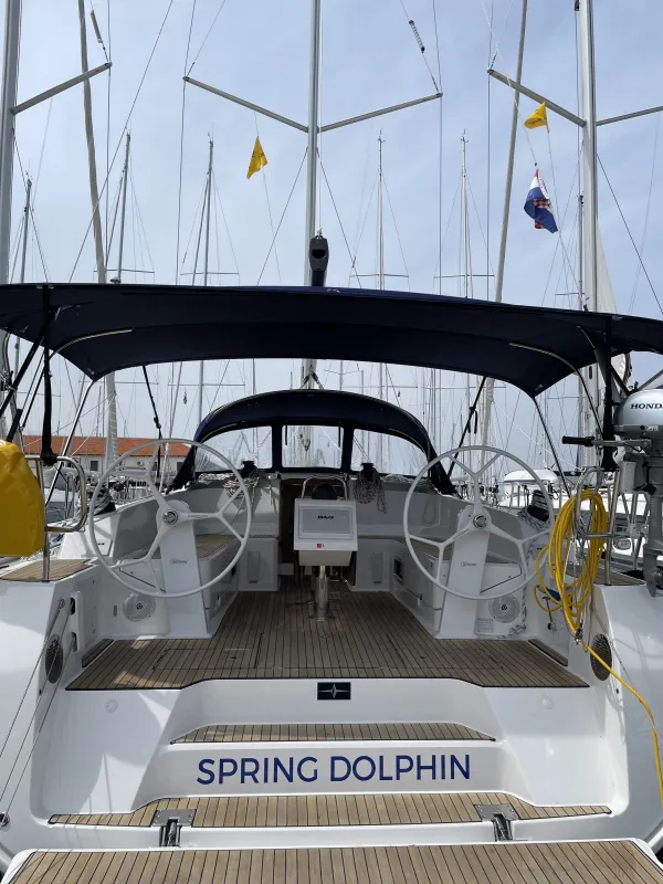 Spring Dolphin
