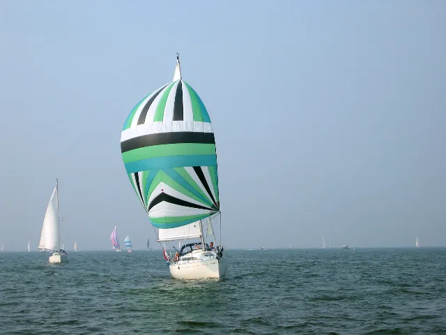 Seagull - Sailboat in Yerseke
