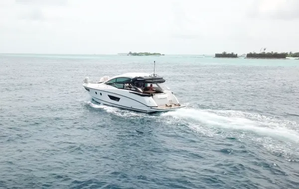 Island Cruise