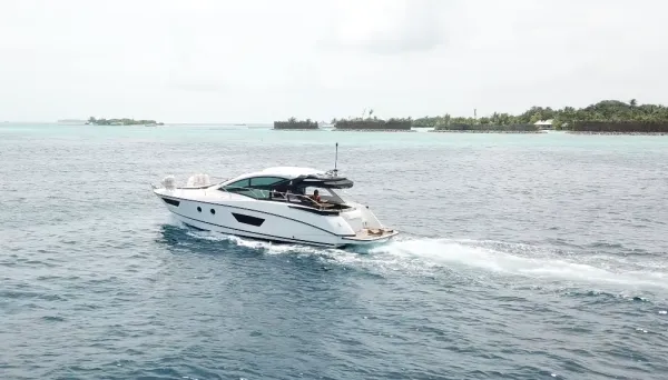 Island Cruise