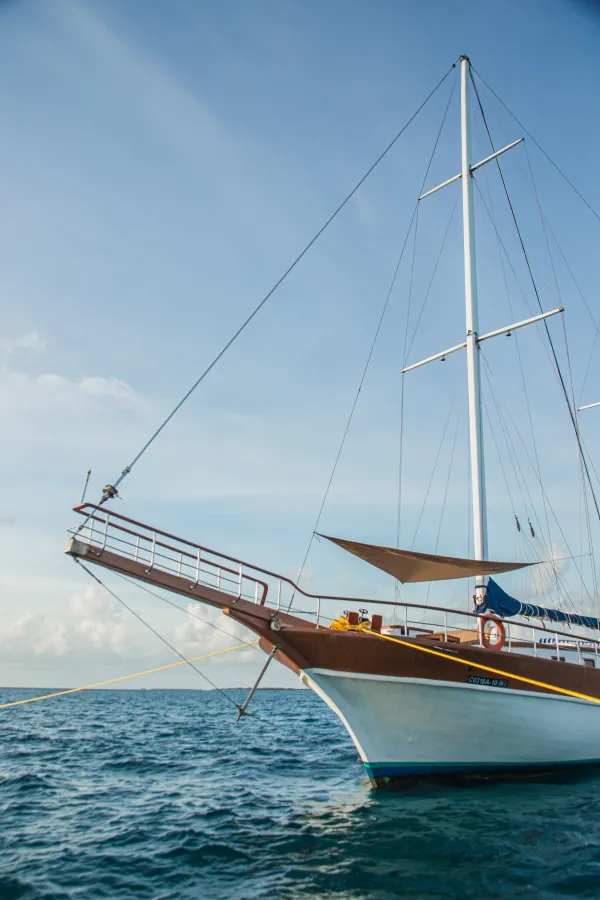 Akoya Pearl