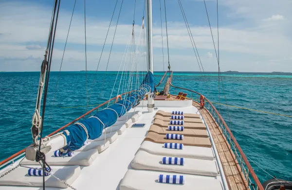 Akoya Pearl