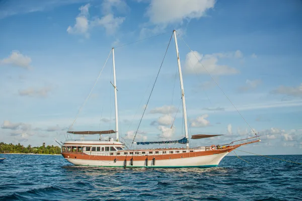 Akoya Pearl