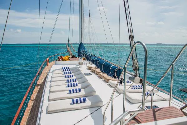 Akoya Pearl