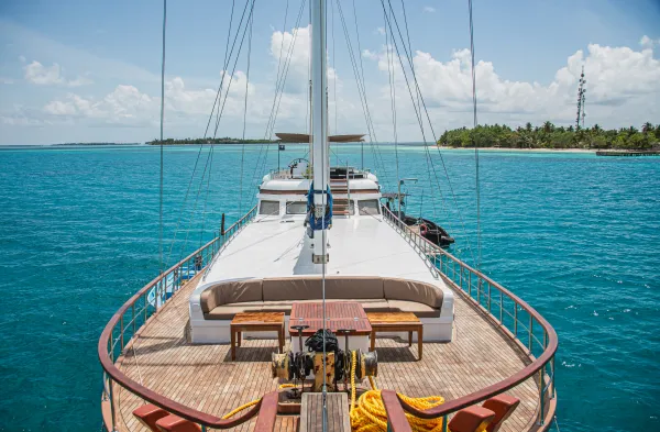 Akoya Pearl