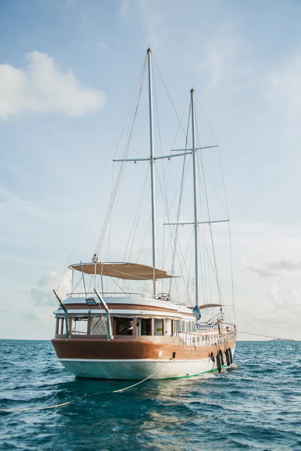 Akoya Pearl