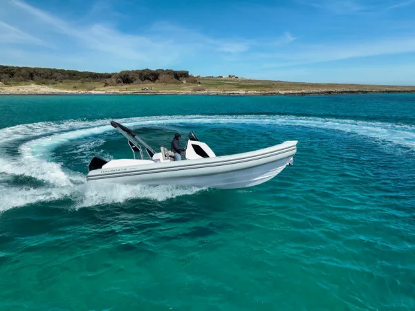 Italboats Predator