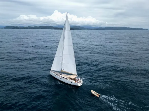 Sailing Freedom