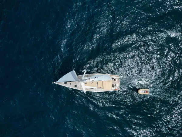 Sailing Freedom