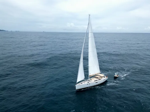 Sailing Freedom