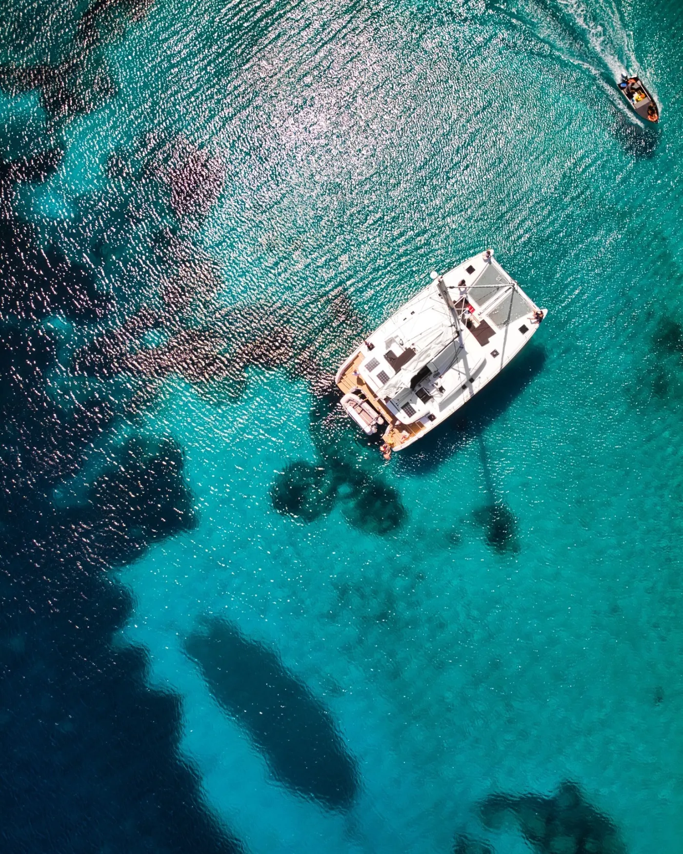 Pollo - Catamaran in Province of Sassari