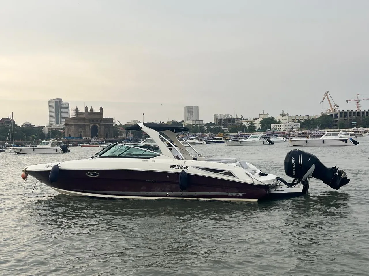 Godiva - Motor Yacht in Wadi Bandar
